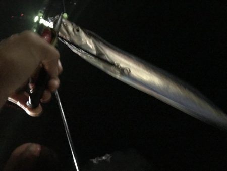 少しだけタチウオ釣行