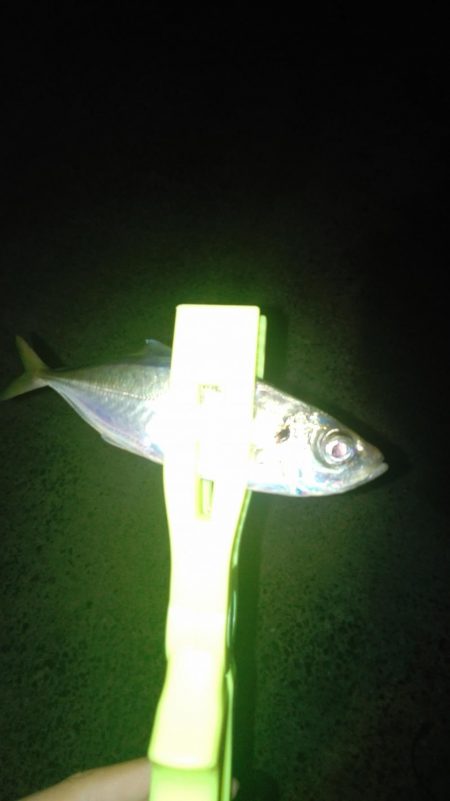 ナイトあーじ＆たーちー