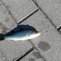 再び台風前に❗