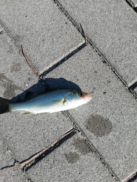 再び台風前に❗