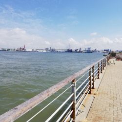 アジサバ　コスモスクエア