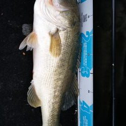 台風あと琵琶湖