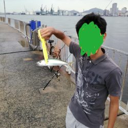 タチウオだめでした