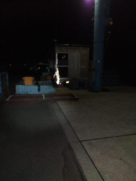 夜釣り