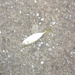 あーじアイエヌジー