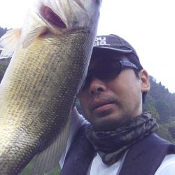 夏より浅いところに来ています。