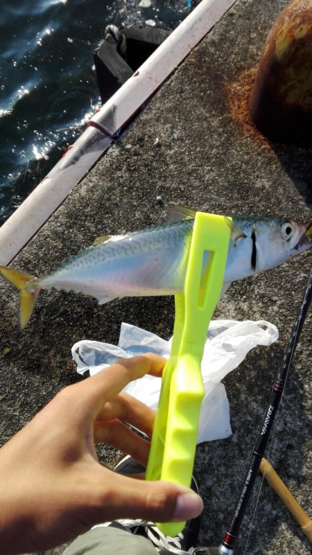 ライトゲーム！！