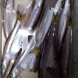 天気予報が違ったので