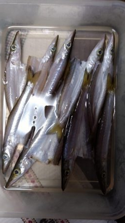 天気予報が違ったので