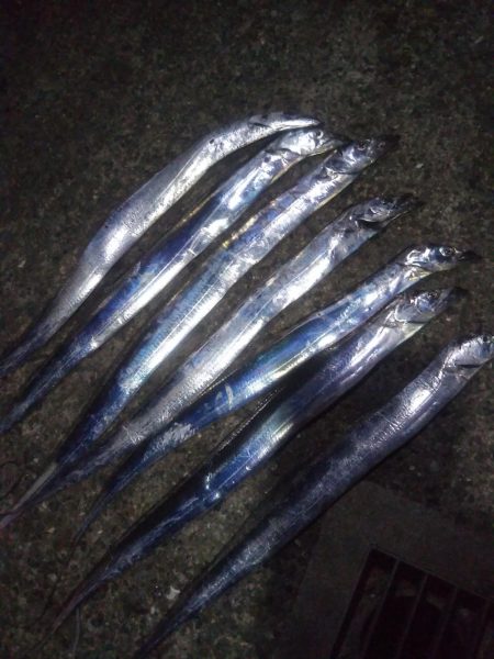 アジュールで短時間タチウオ時合！