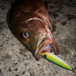 台風からの贈り物、ウィードエリア
