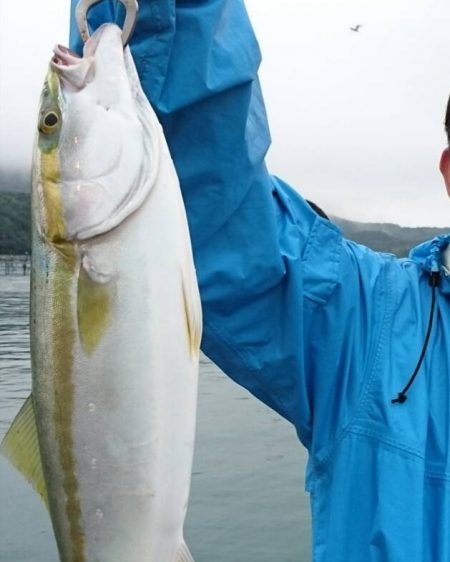 朝マヅメのハマチ