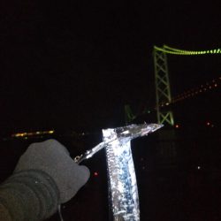 アジュールでタチウオ激渋