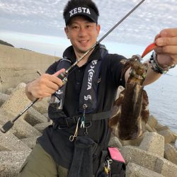 秋アオリイカエギング