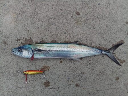 昼からのんびり