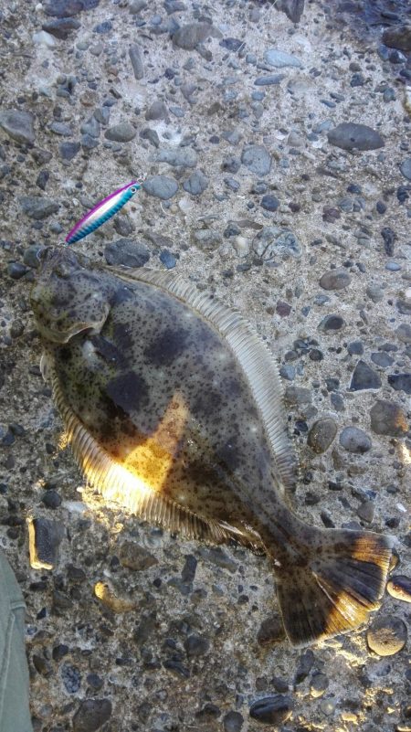 やったりやした