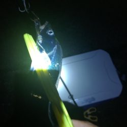 台風前ワインド