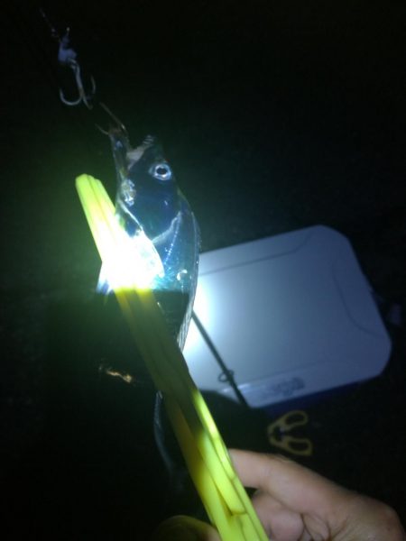 台風前ワインド