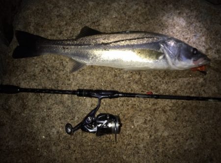 ミッドナイトゲーム