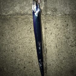 ツバス・タチウオ