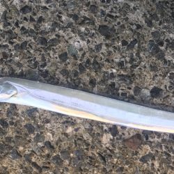 タチウオ・サバ