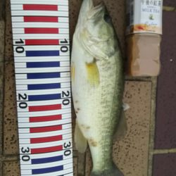 ハイプレッシャー