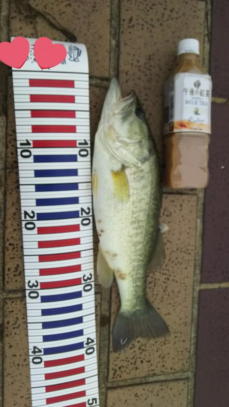 ハイプレッシャー