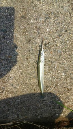 もう少しサイズがほしい