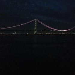 フックの確認をわすれずに！