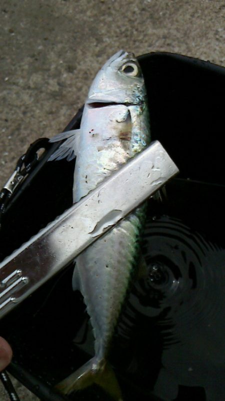 痛恨のフックブレイク