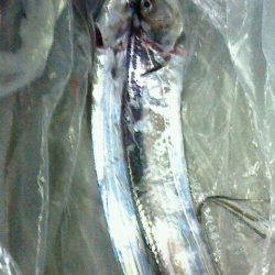 夕マズメ前にショアジギ