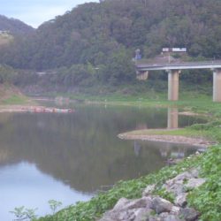 ボイルしたところに・・・