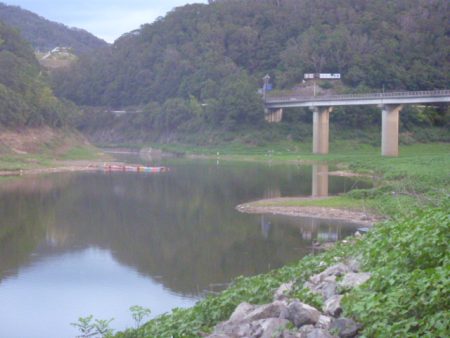 ボイルしたところに・・・