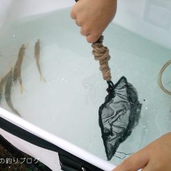 ファミリーフィッシング