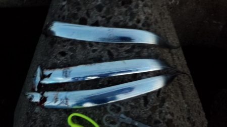 淡路島でショアジギング