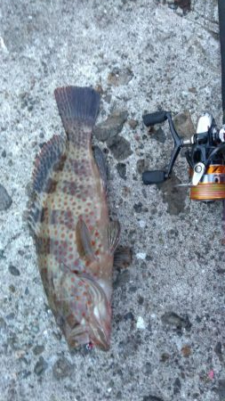 枕崎でライトショアジギング