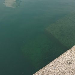 いい季節になってきました