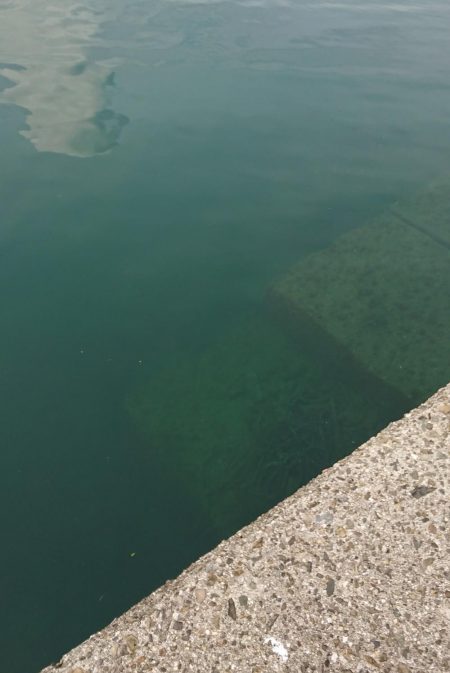 いい季節になってきました