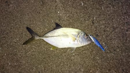 エバ(メッキ)ゲット！