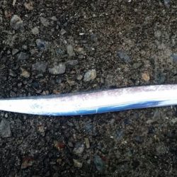 毎日タチウオ釣行