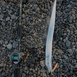 青物、太刀魚狙い