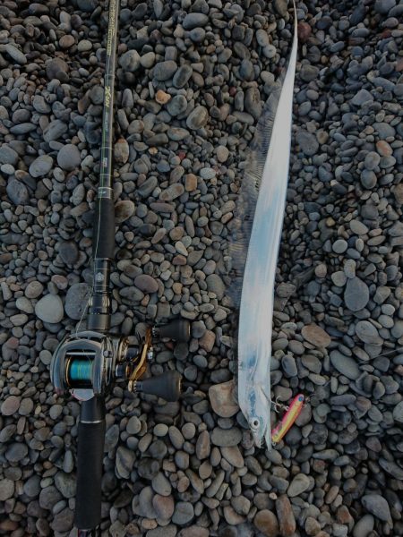 青物、太刀魚狙い