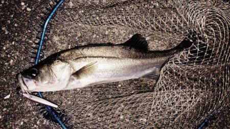 台風前の朝練出撃！