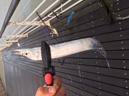 コスモスクエア　4連続