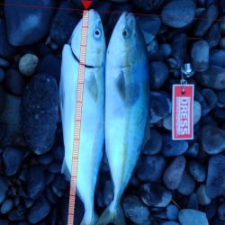 時合いが続かない(>_<)