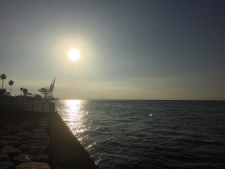 サバ大軍・タチウオ不在？