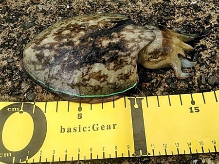 雨が降ってますが、何とか・・・・