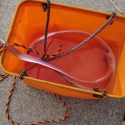 今年はまだ小さいか