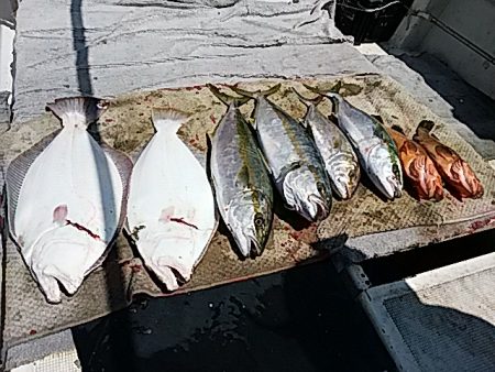 大物釣果速報！●光義丸：平戸市早福港