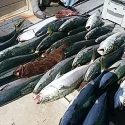 大物釣果速報！●光義丸：平戸市早福港